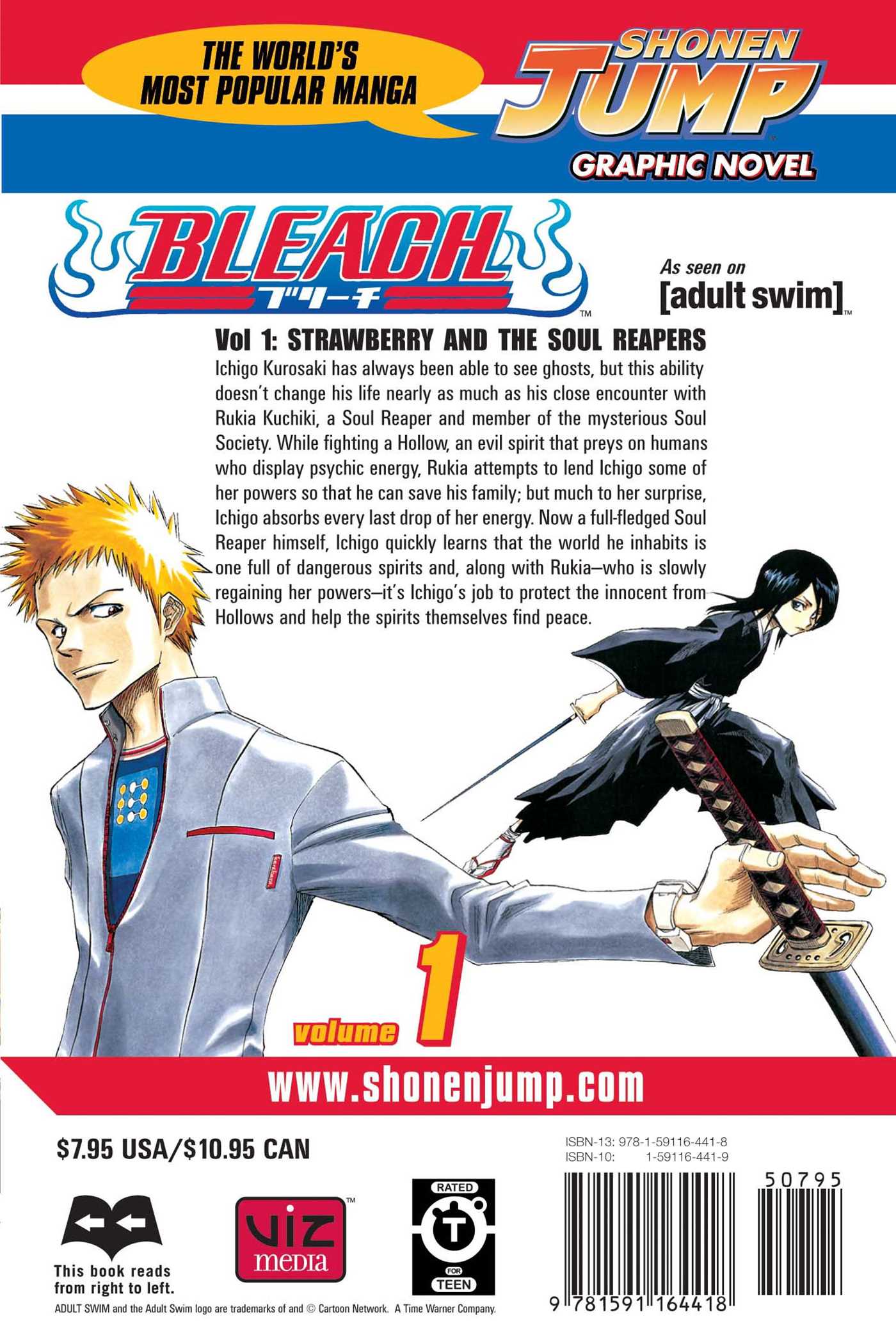 Bleach, Vol. 1 - Image 2