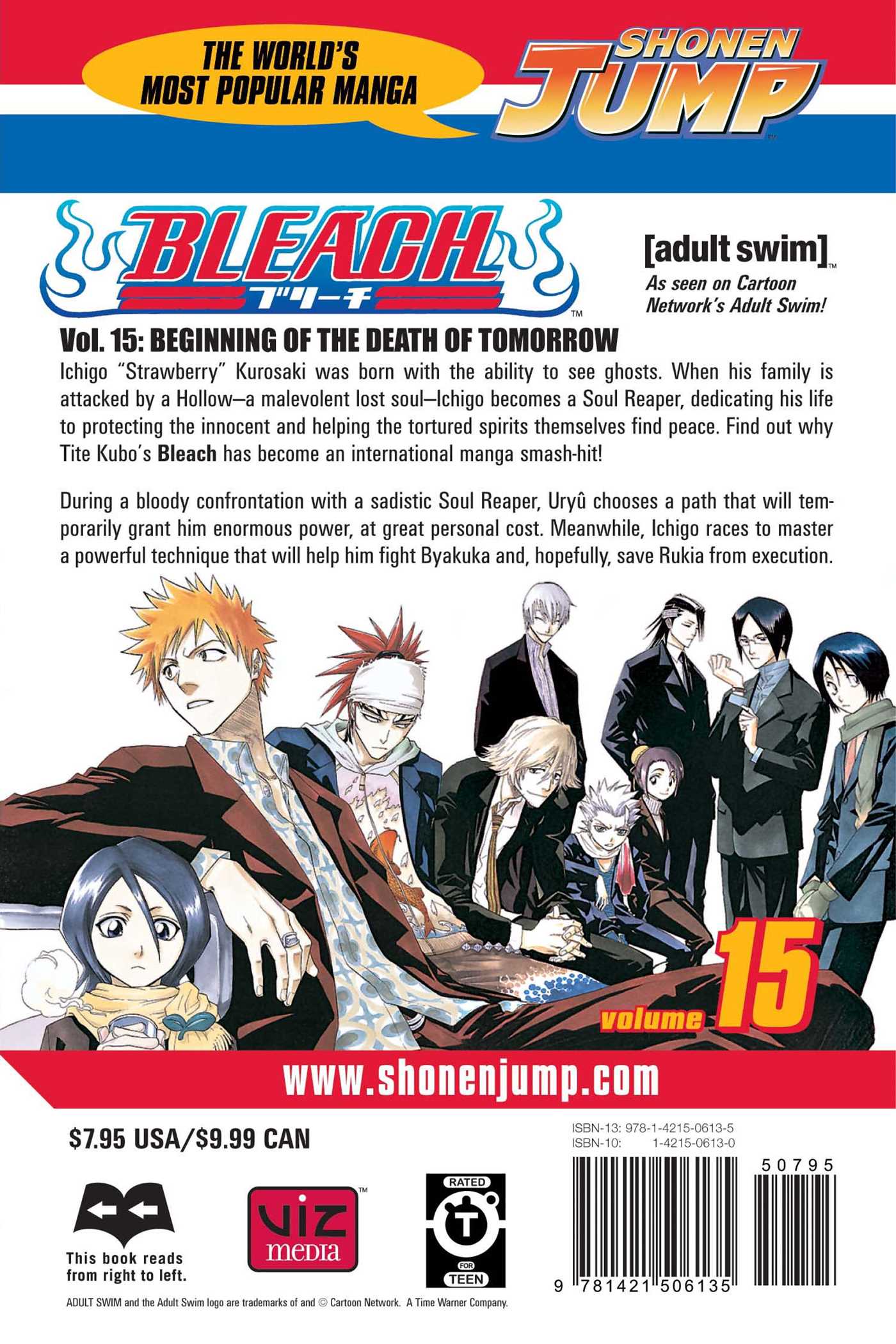 Bleach, Vol. 15 - Image 2
