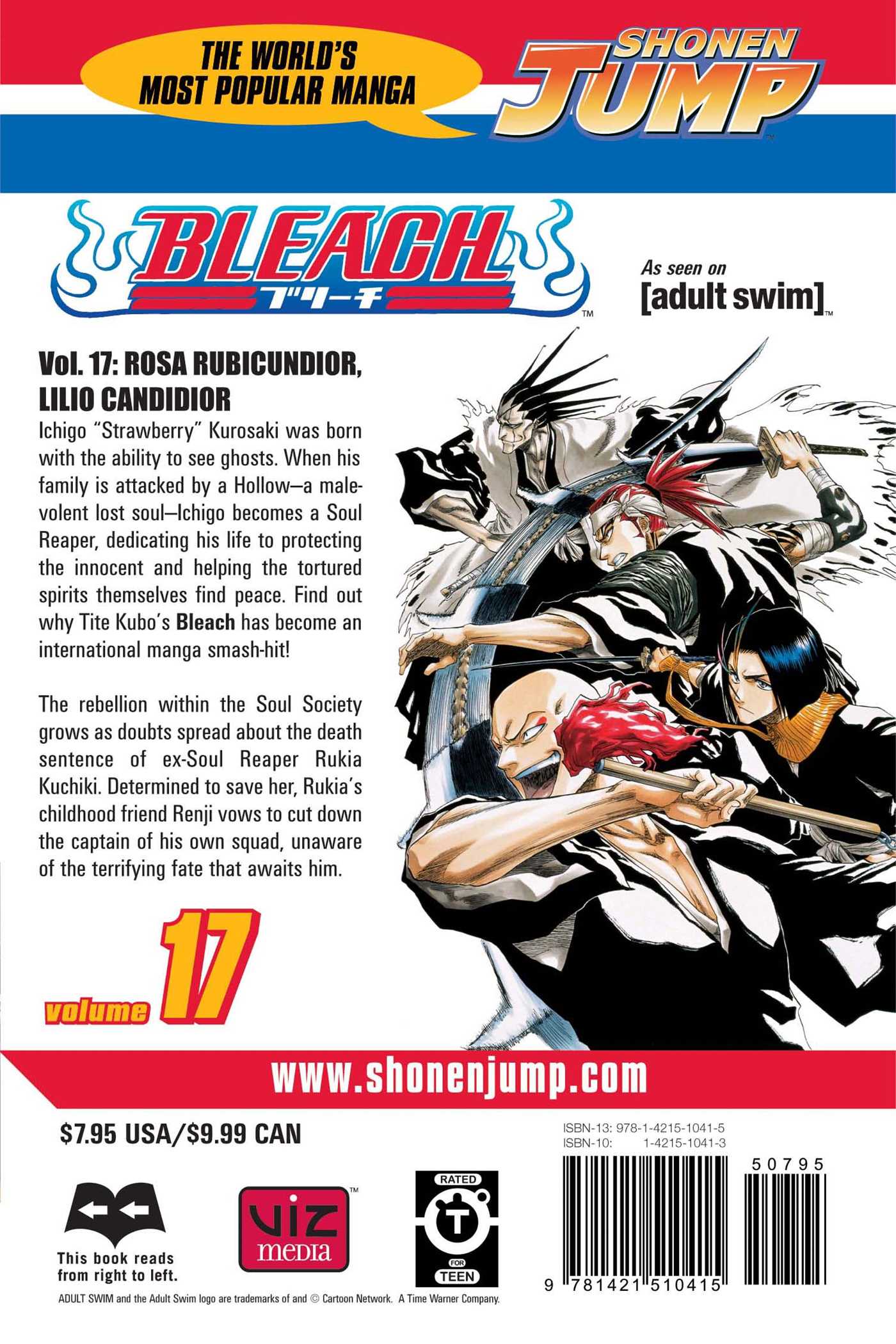 Bleach, Vol. 17 - Image 2