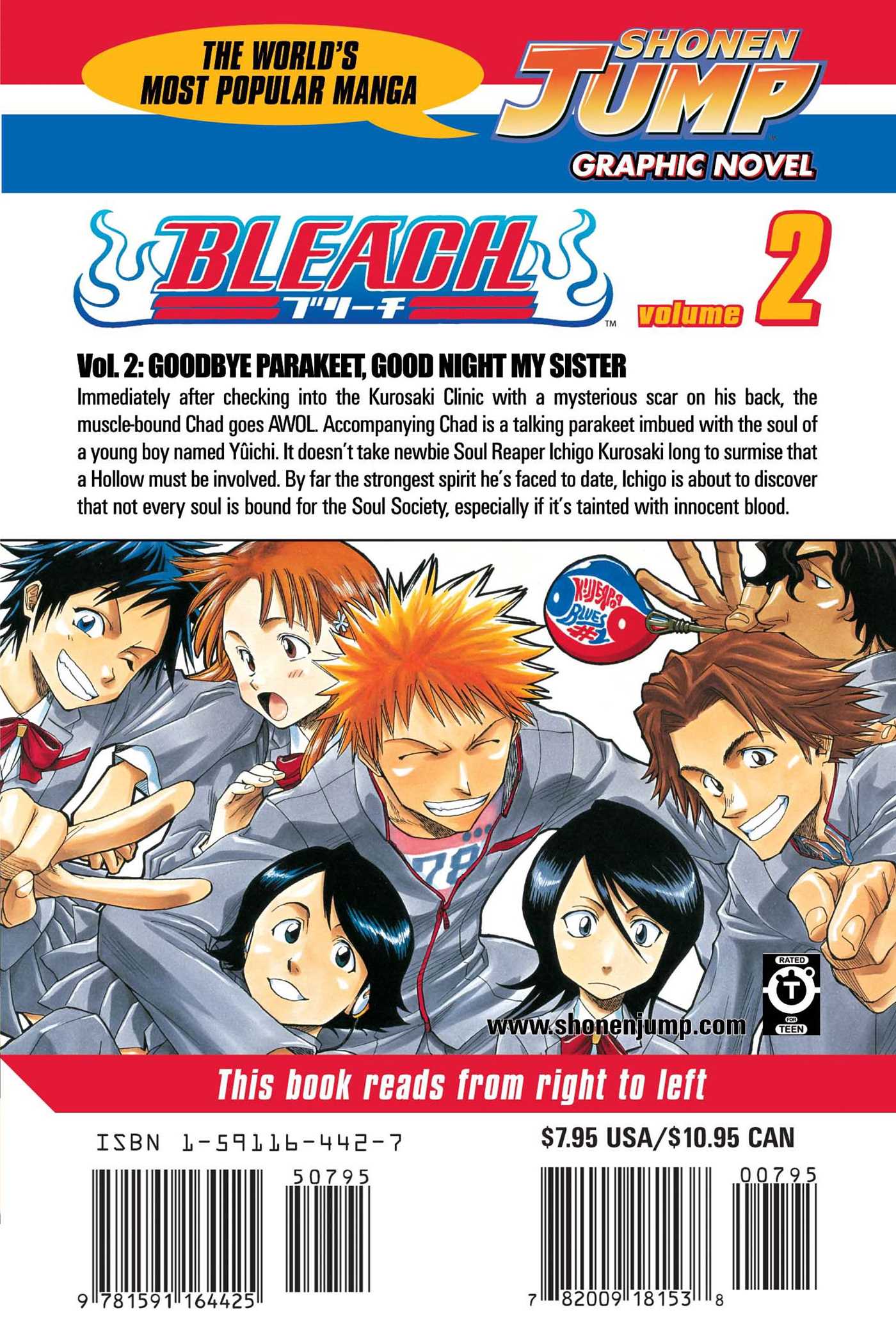 Bleach, Vol. 2 - Image 2