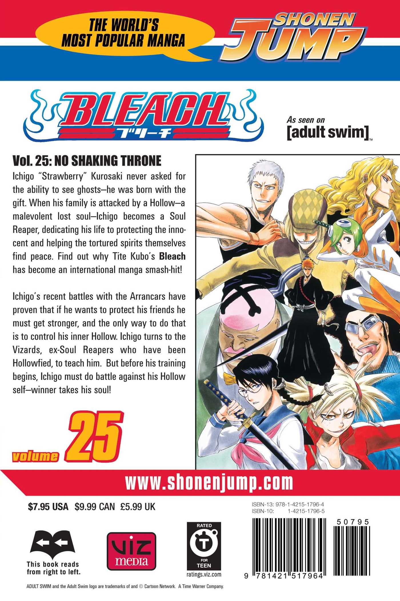 Bleach, Vol. 25 - Image 2