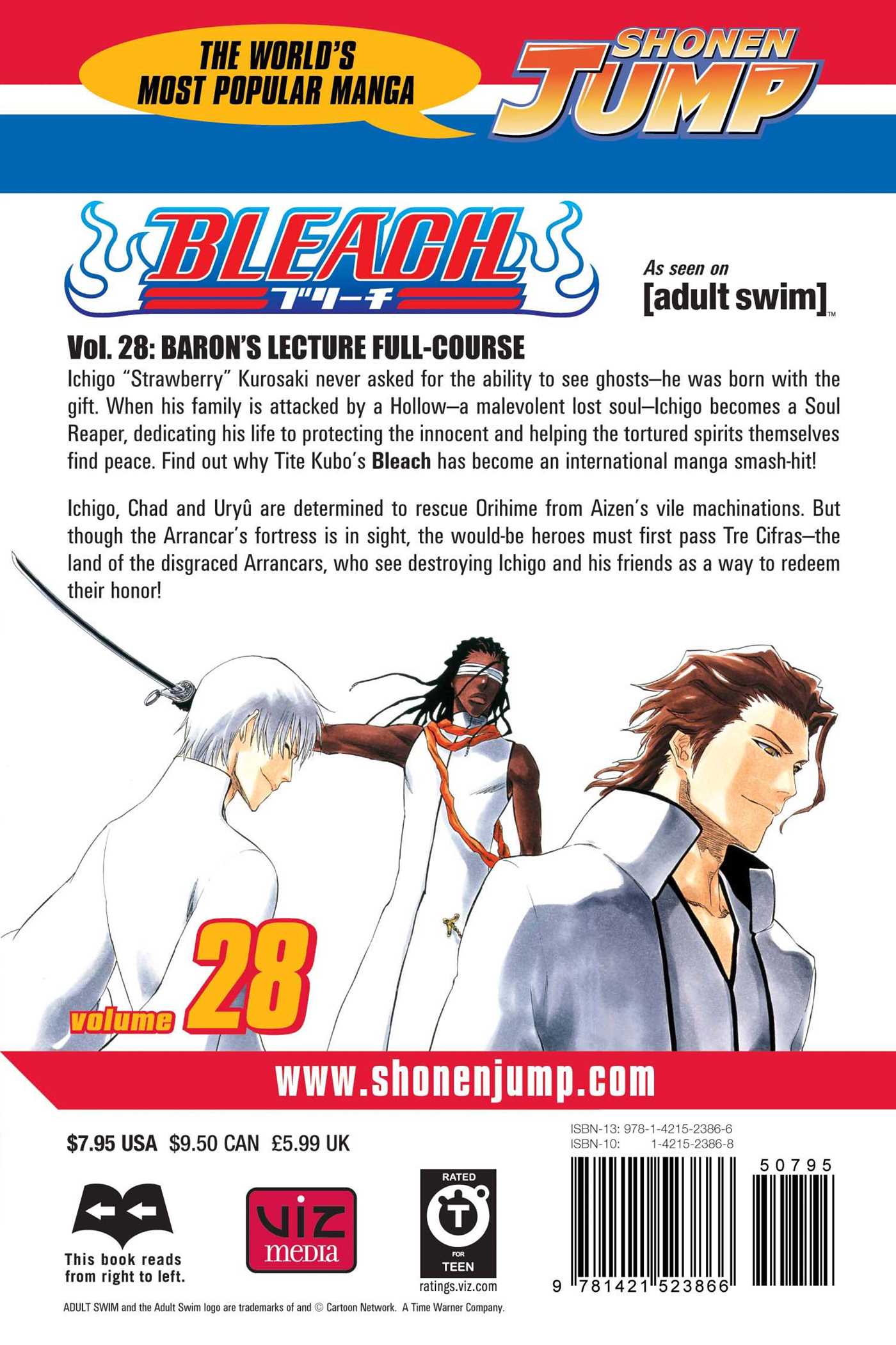 Bleach, Vol. 28 - Image 2