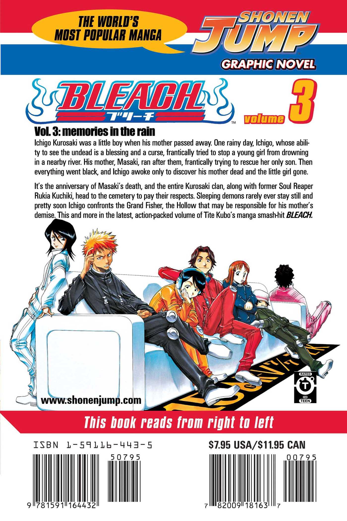 Bleach, Vol. 3 - Image 2