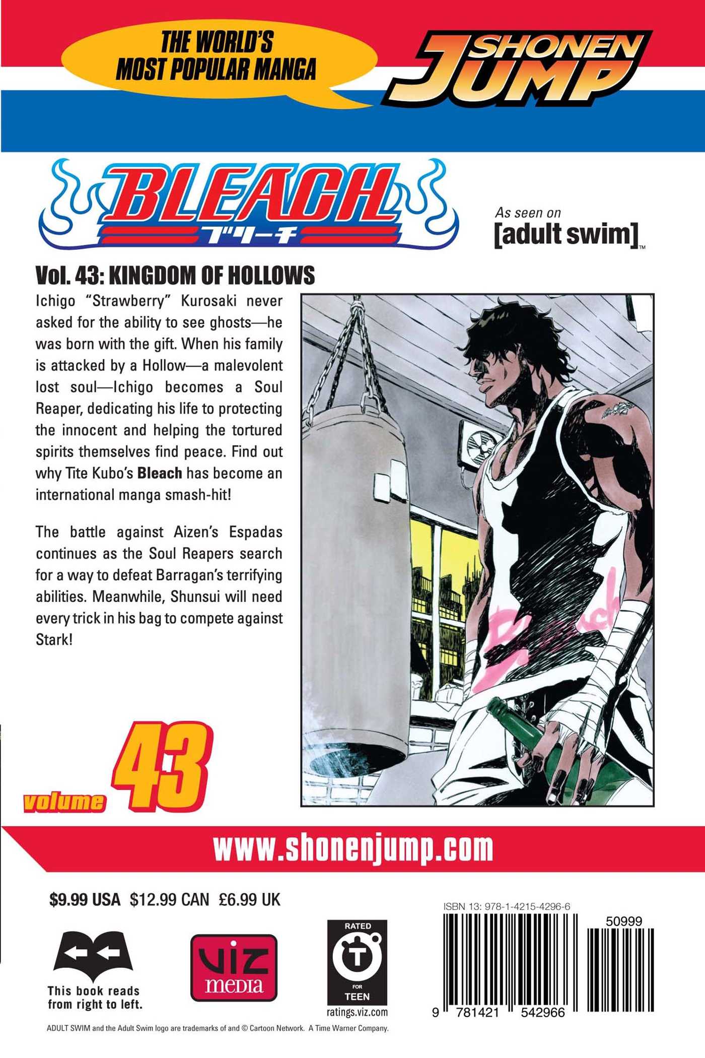 Bleach, Vol. 43 - Image 2