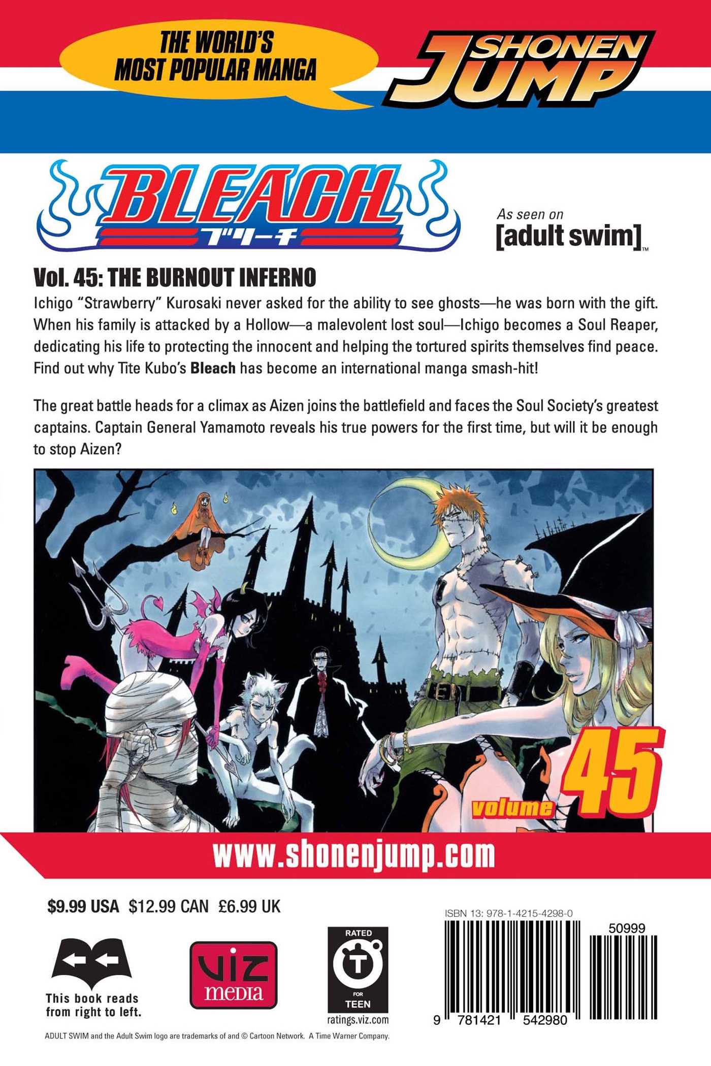 Bleach, Vol. 45 - Image 2