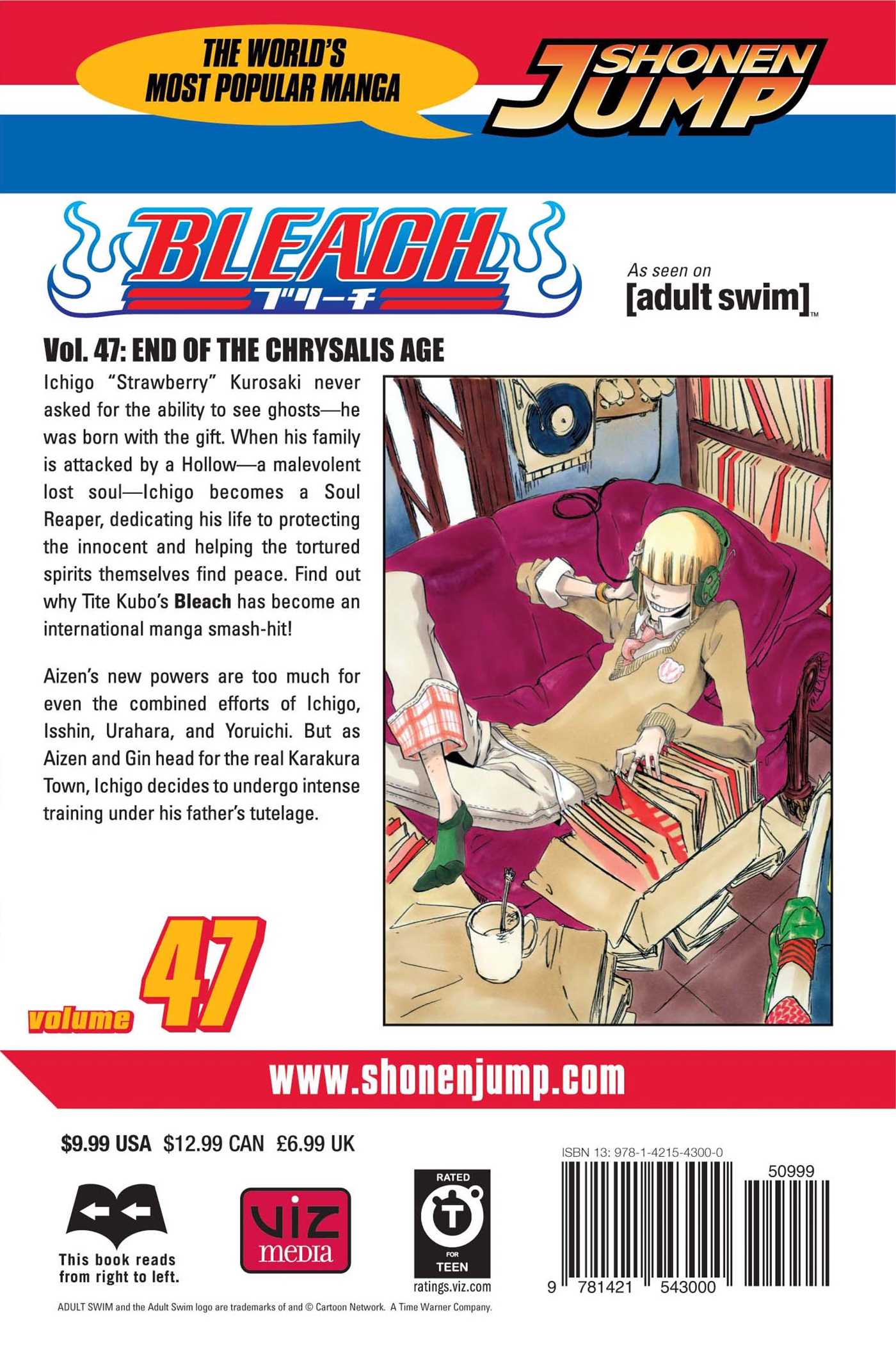 Bleach, Vol. 47 - Image 2