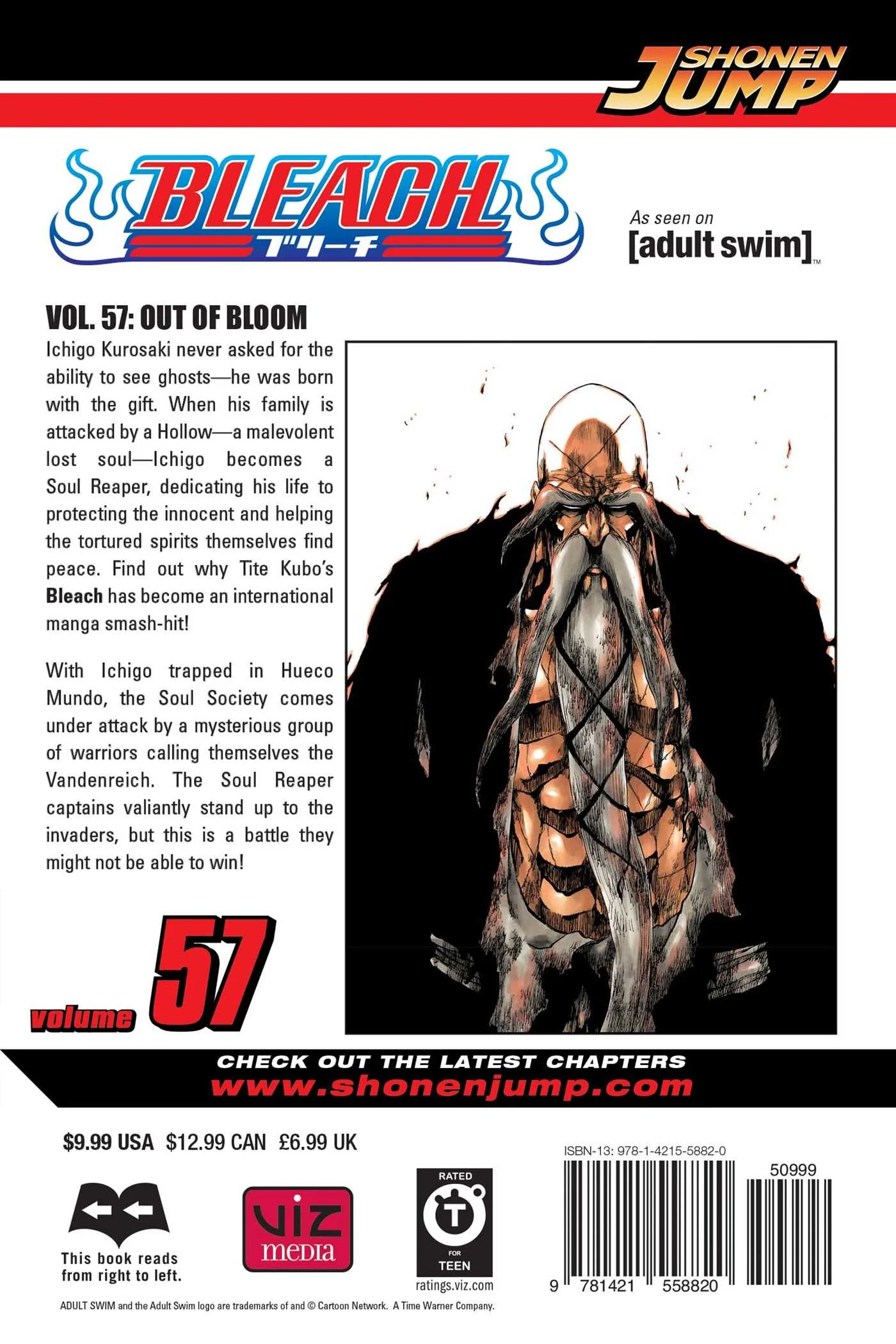 Bleach, Vol. 57 - Image 2