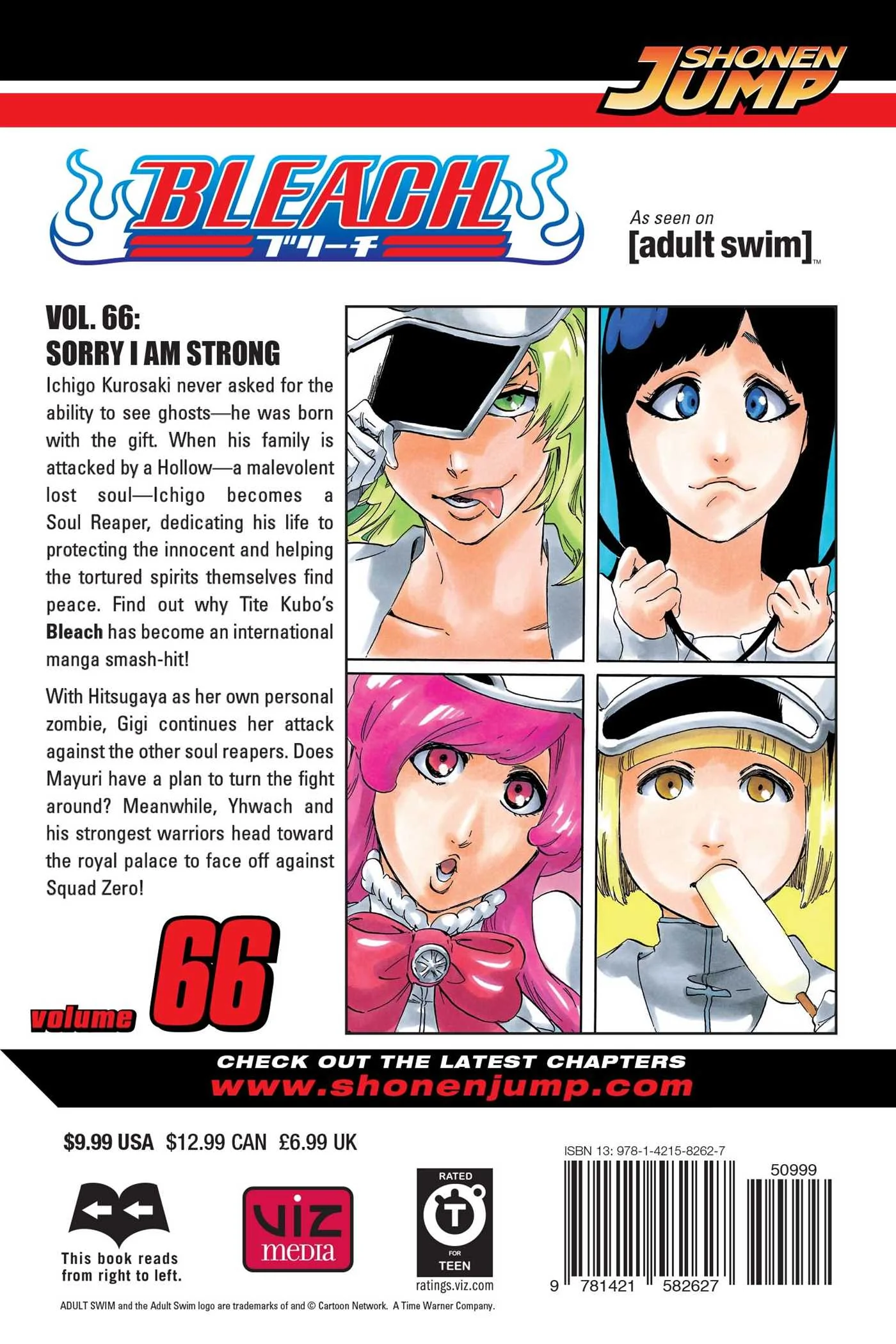 Bleach, Vol. 66 - Image 2