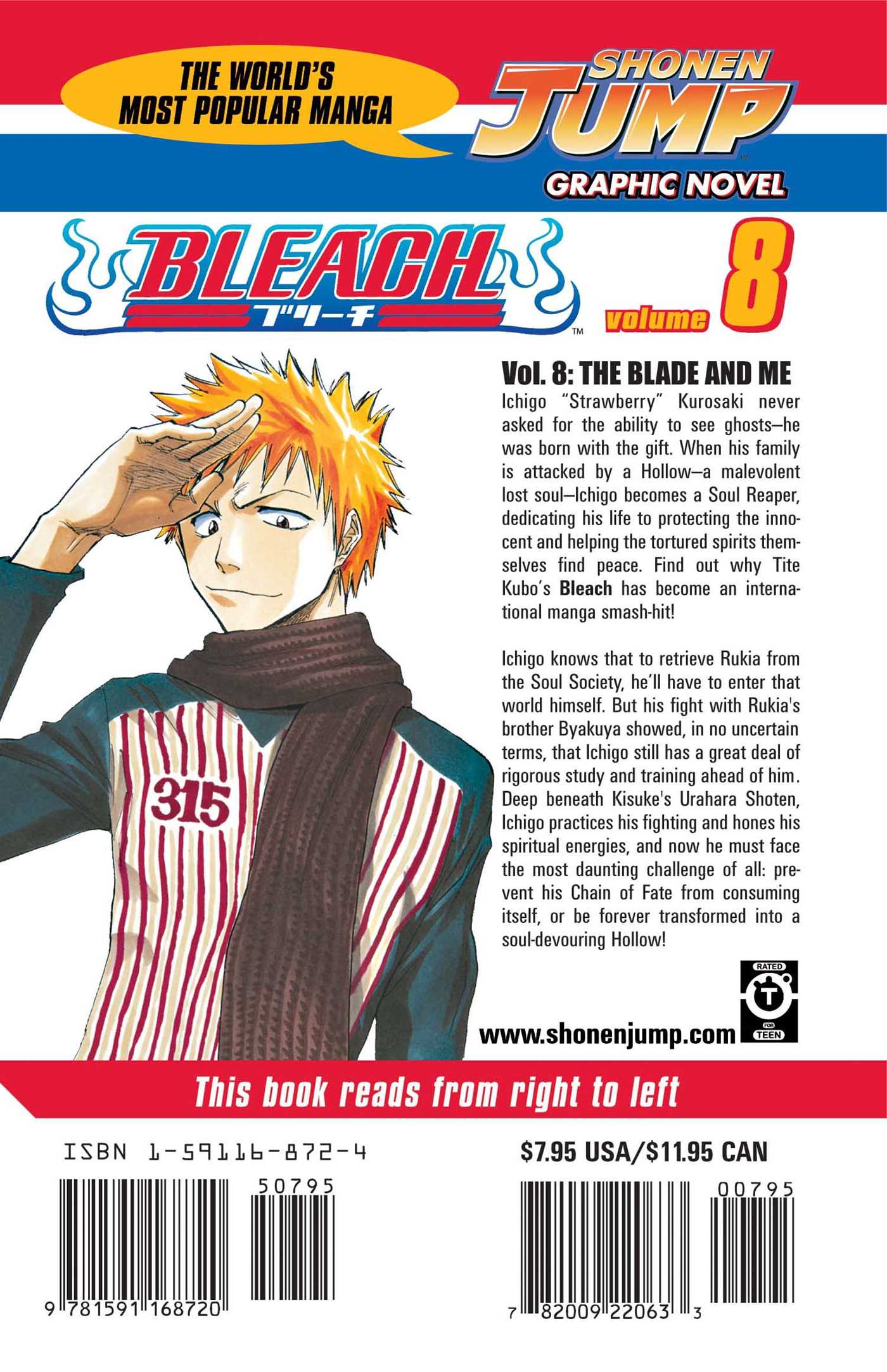 Bleach, Vol. 8 - Image 2