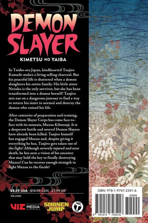 Demon Slayer: Kimetsu no Yaiba, Vol. 22 - Image 2