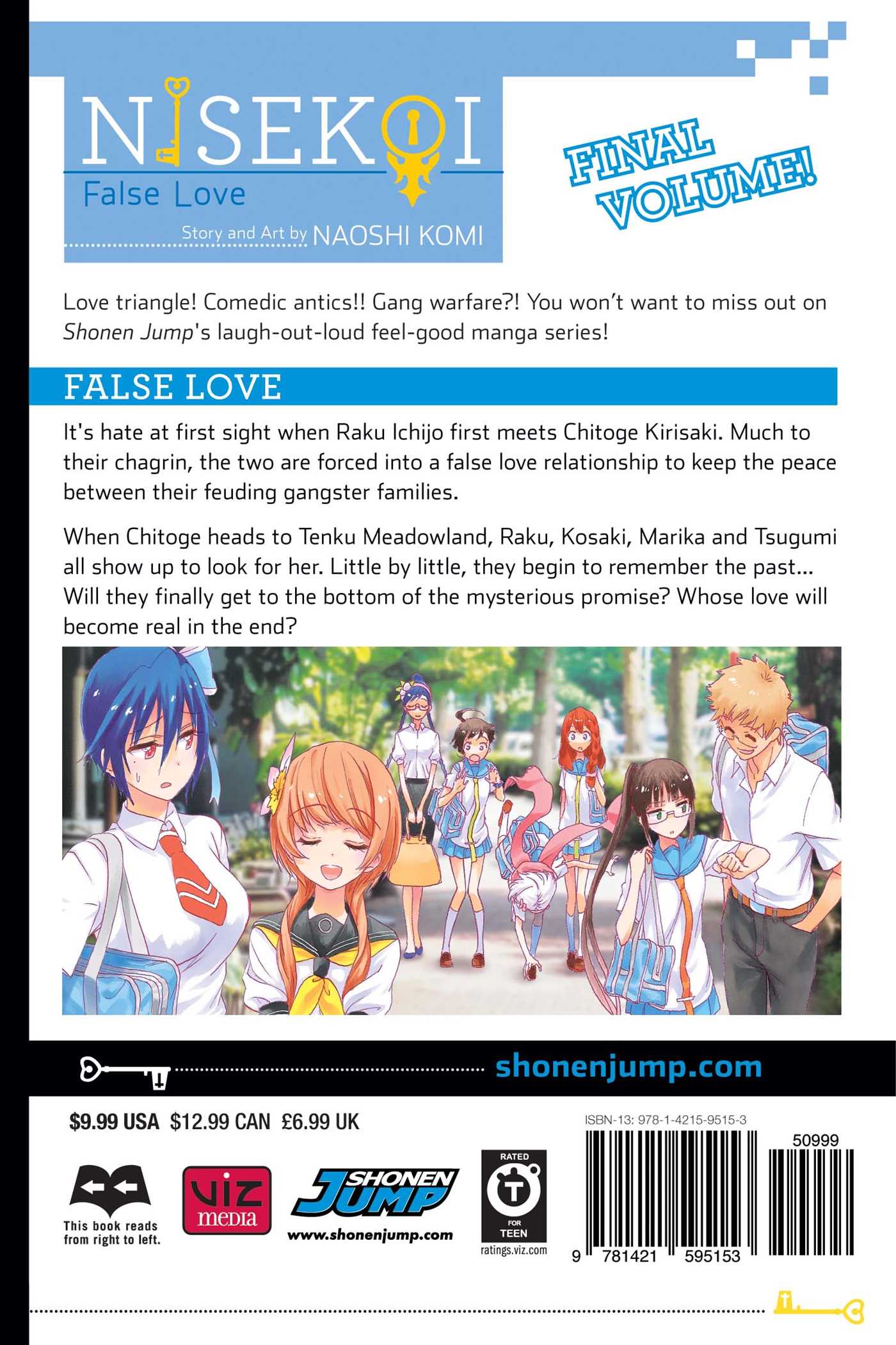 Nisekoi: False Love, Vol. 25 - Image 2